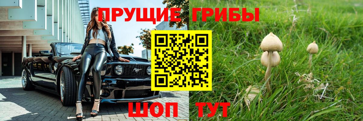 Псилоцибиновые грибы Psilocybe  Вход с VPN  Нижневартовск 